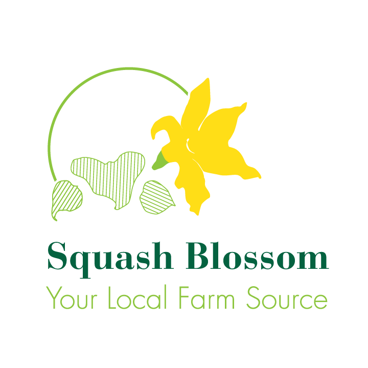 Squash Blossom WHOLESALE