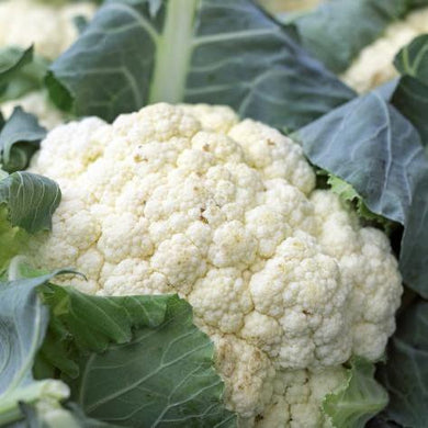 Cauliflower