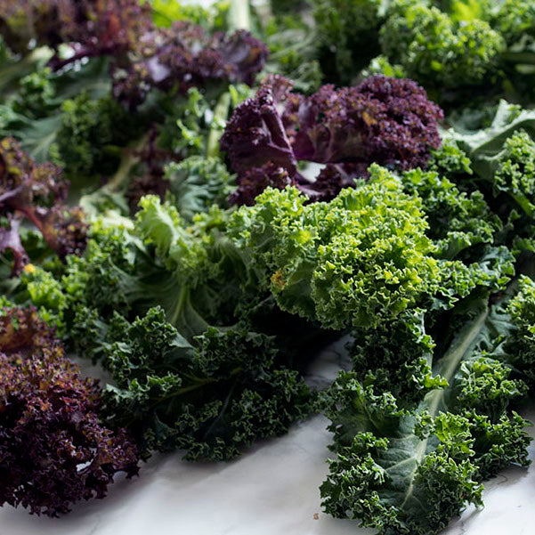 Curly Leaf Kale (Purple and Green Mix)