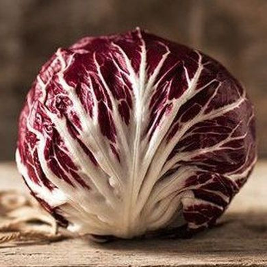 Radicchio