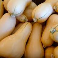 Butternut Squash