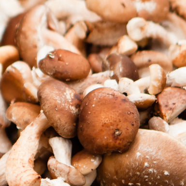 Shiitake Mushrooms